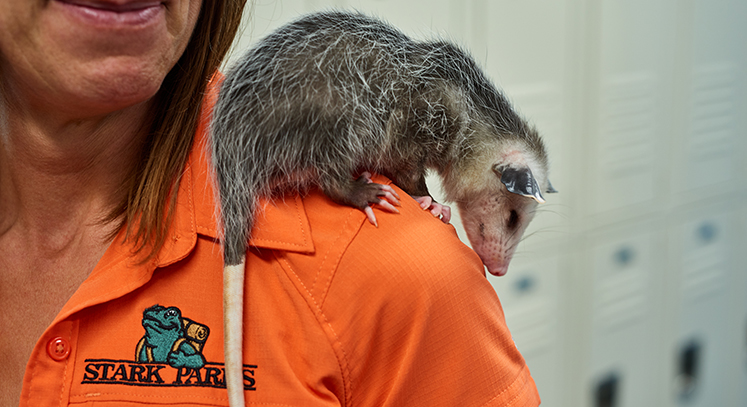 Stark County Wildlife Conservation Center Opens