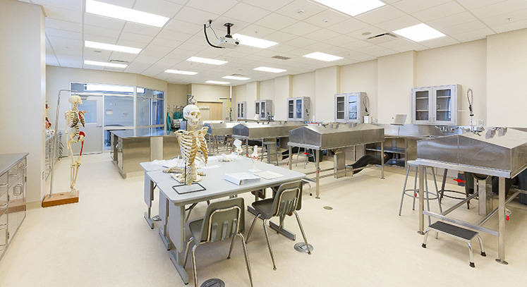 Walsh University's St. John Paul II Center for Science Innovation Enhances Opportunities